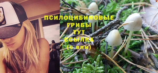 2c-b Белокуриха